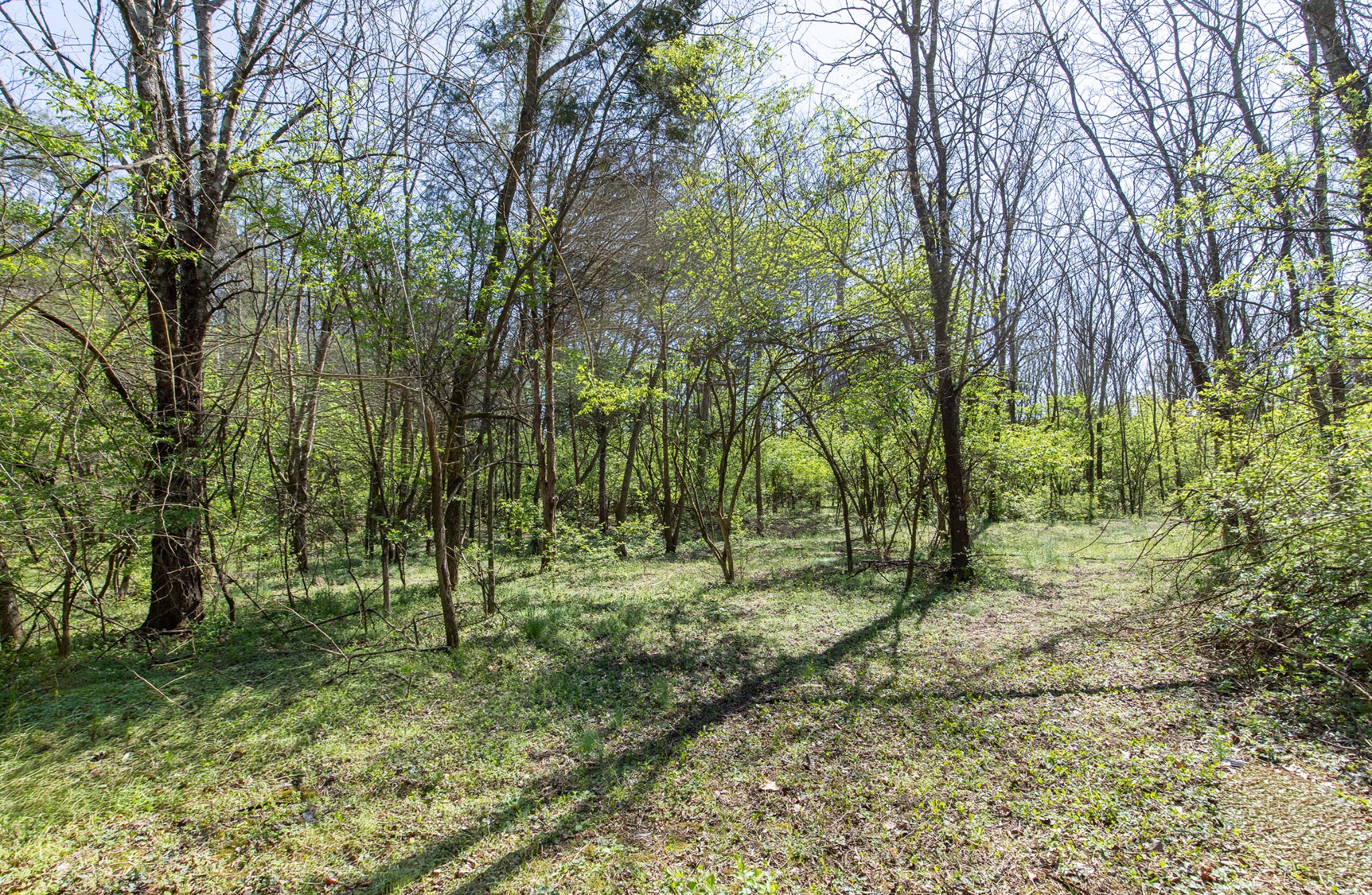 227 Spero Road Goodlettsville, TN 37072 - Photo 35 of 52 Gallery Image 35