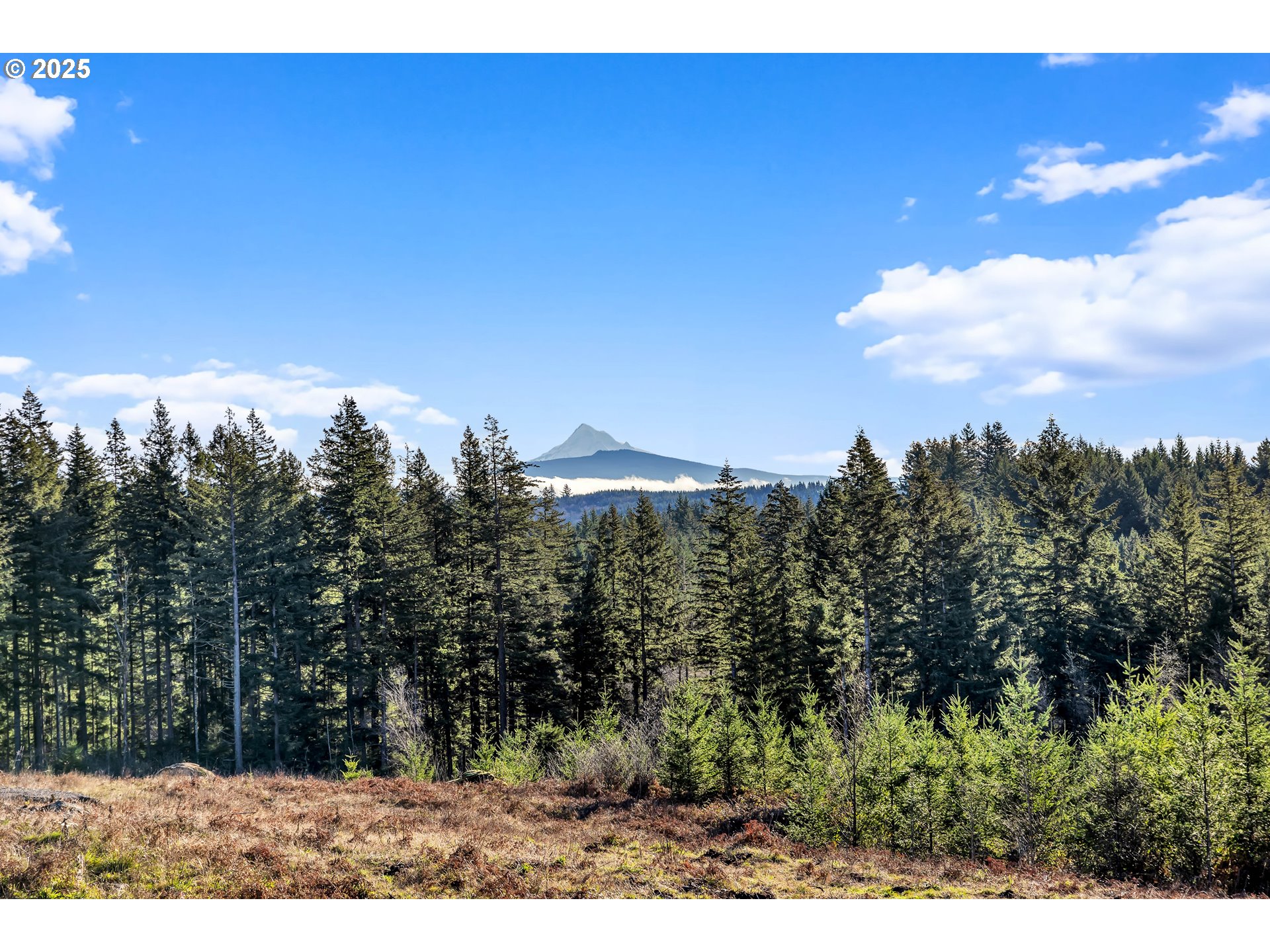 Northeast 48th Way Camas, WA 98607 - Photo 3 of 3 a view of a city with lush green forest