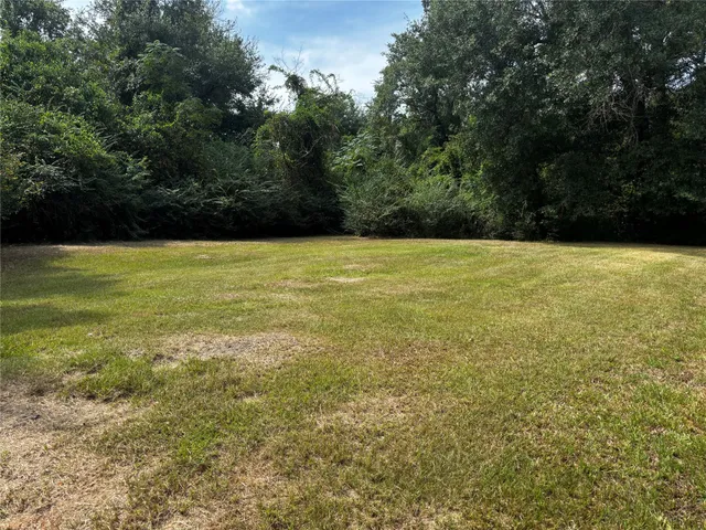 a view of an ocean from a yard