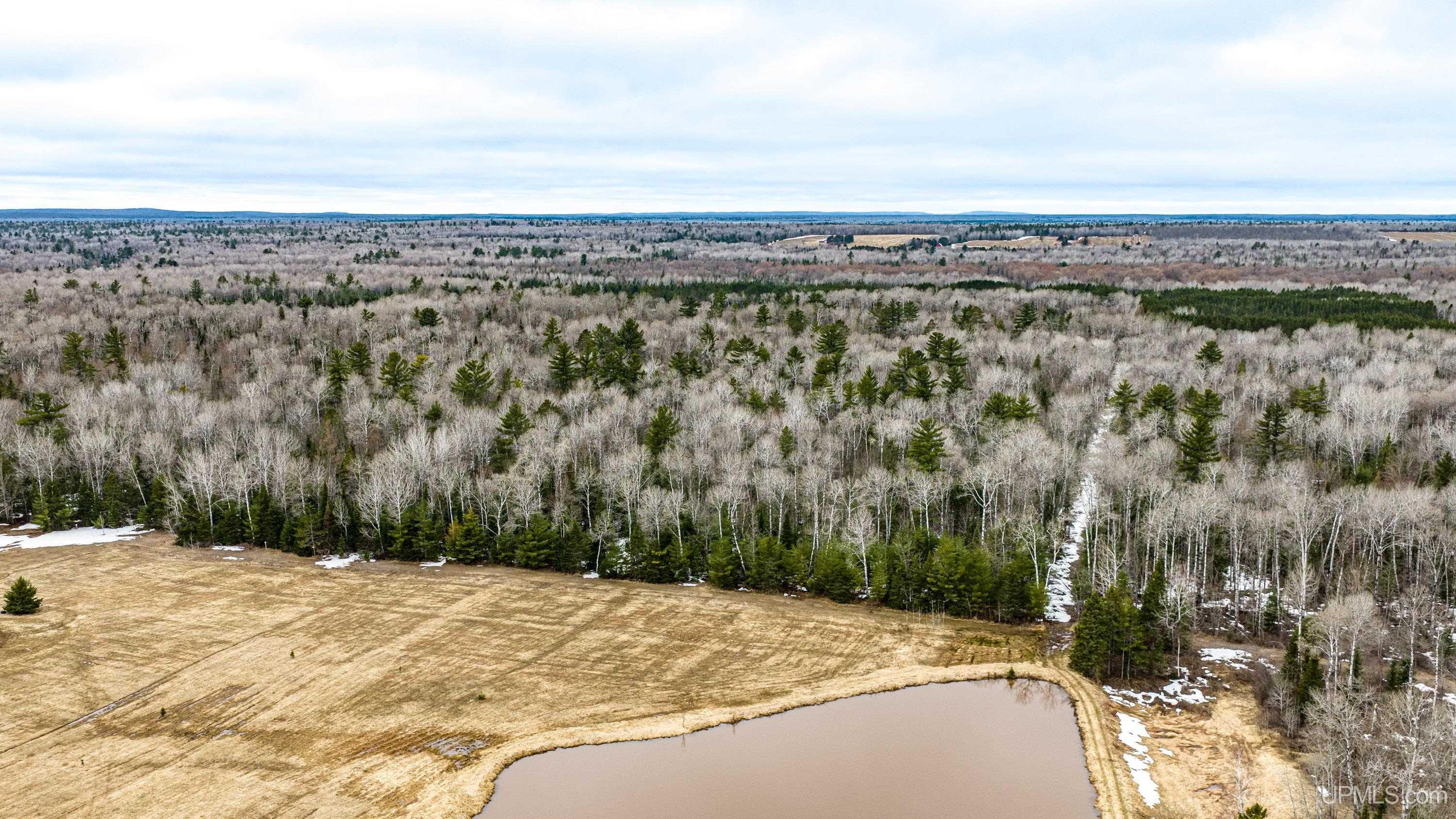 Tbd Off Of Choate Road, Unit NO INSURABLE LEGAL ACCESS Ewen, MI 49925 - Photo 6 of 30