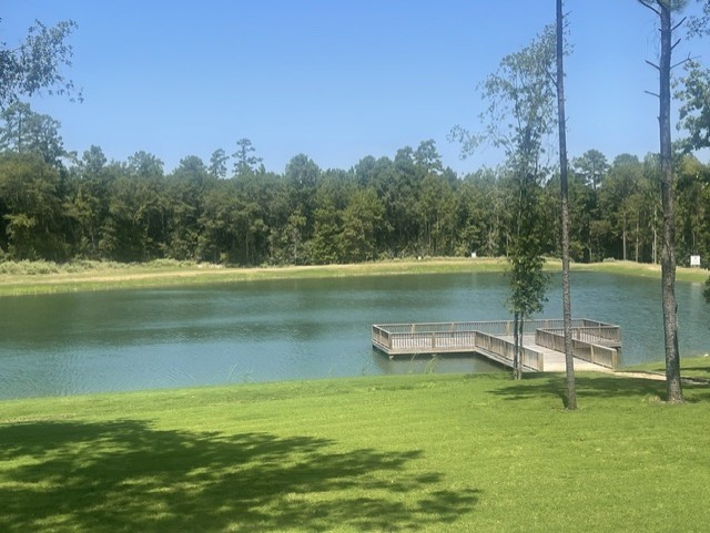 101 Longfellow Road New Waverly, TX 77358 - Photo 14 of 16 Gallery Image 14