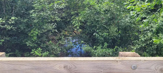 $59,900 | North 88th Ave Avenue, Hart, MI 49420