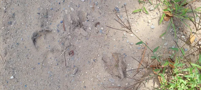 $59,900 | North 88th Ave Avenue, Hart, MI 49420