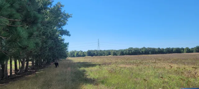 $59,900 | North 88th Ave Avenue, Hart, MI 49420