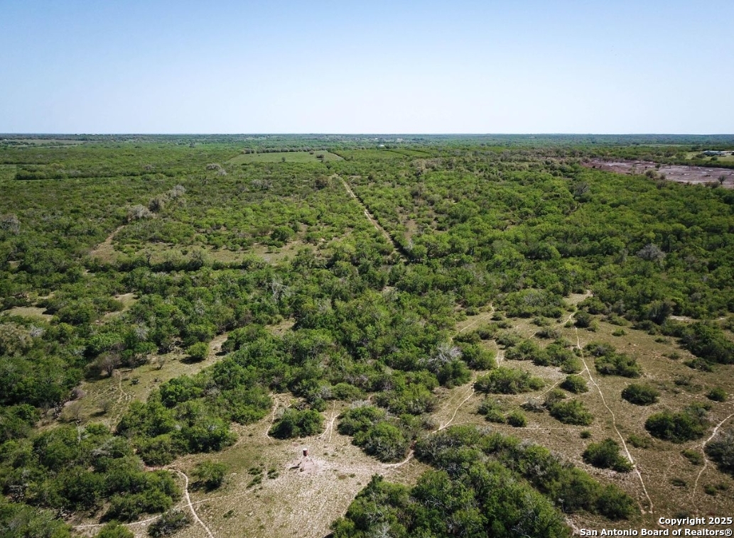 8439 Fm 673 Beeville, TX 78102 - Photo 3 of 4 view of a green field