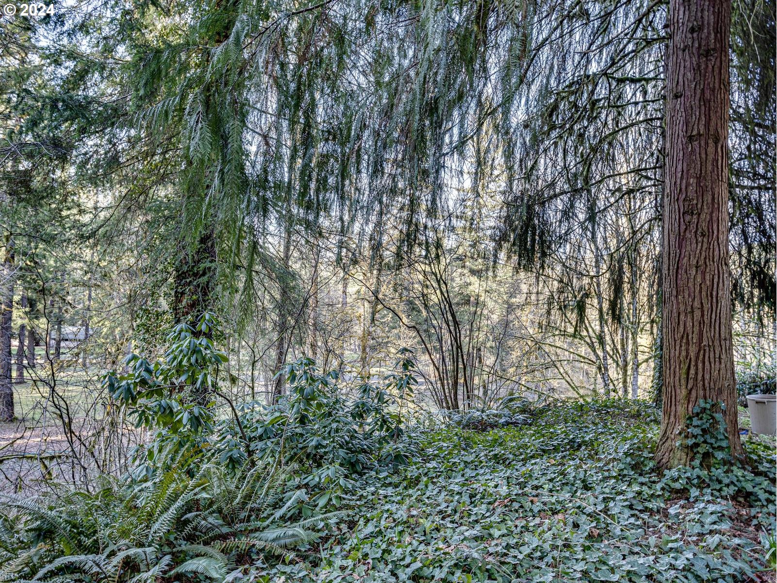11112 Southeast Lusted Road Sandy, OR 97055 - Photo 9 of 21 a view of statue in a garden