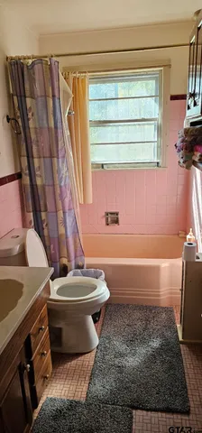 a bathroom with a toilet and a bathtub