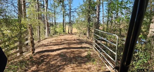 a view of an outdoor space with a tree