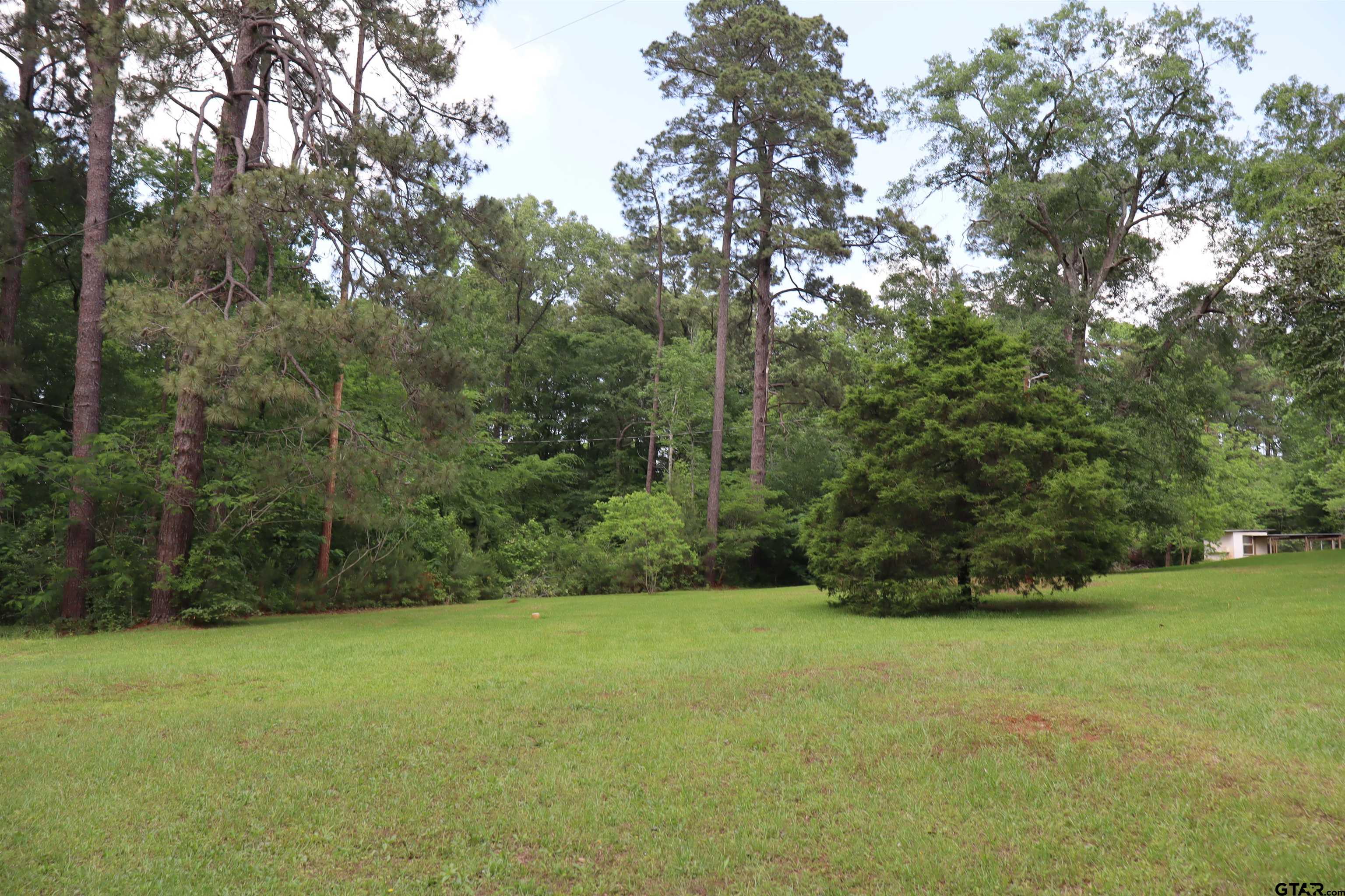 4269 Highway 21 Alto, TX 75925 - Photo 19 of 41 a view of outdoor space and yard