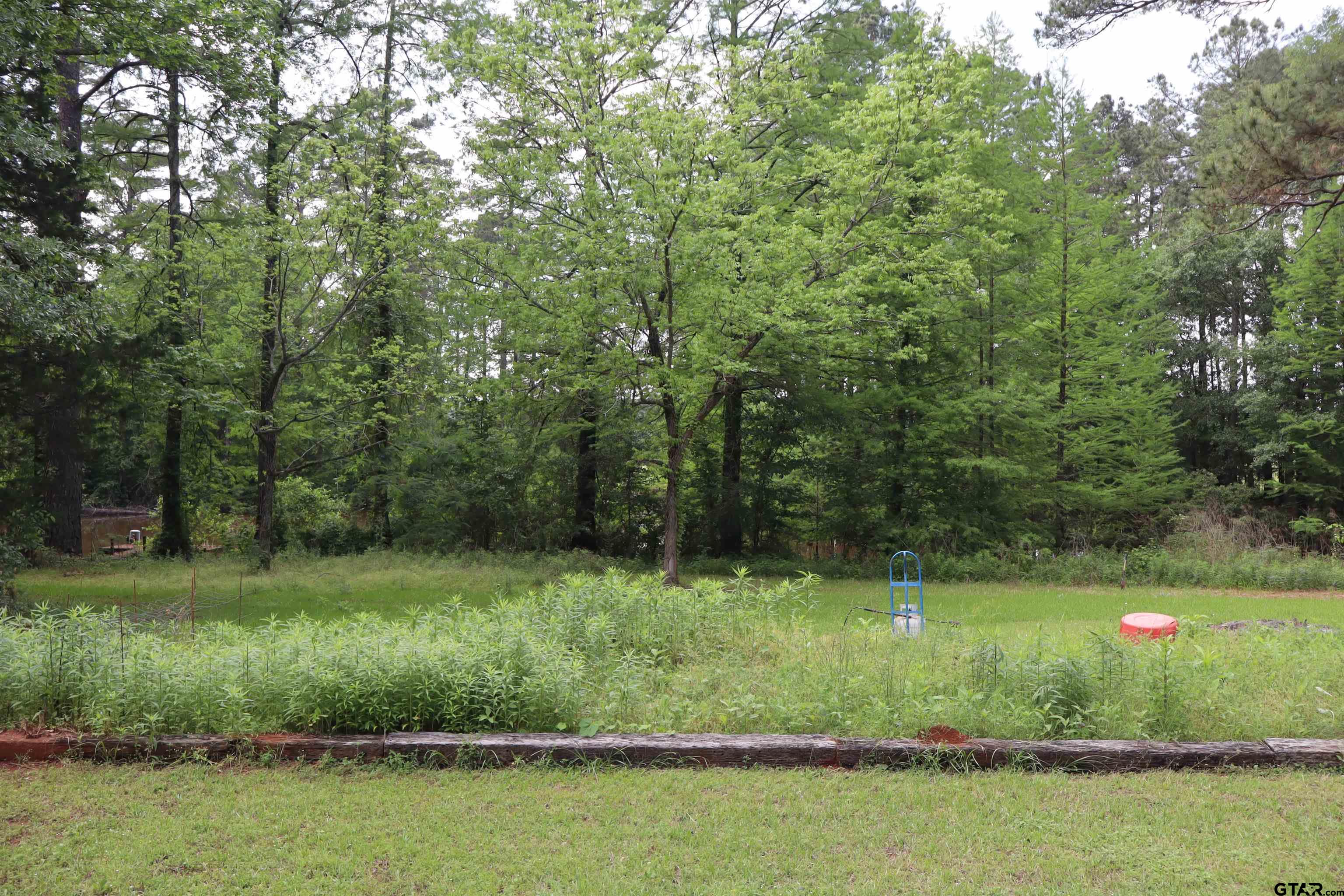 4269 Highway 21 Alto, TX 75925 - Photo 20 of 41 a view of a park