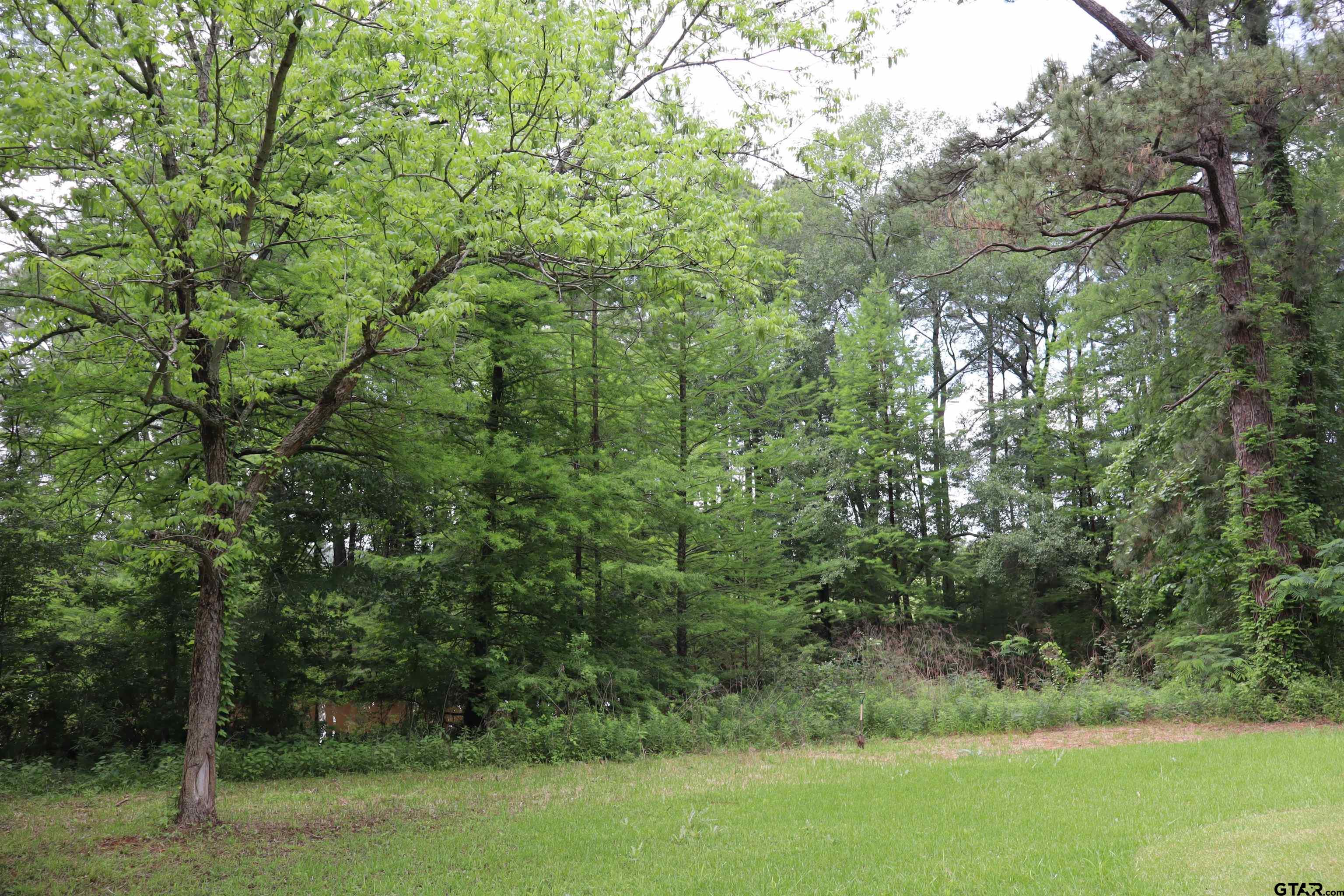 4269 Highway 21 Alto, TX 75925 - Photo 26 of 41 a view of a forest with a yard