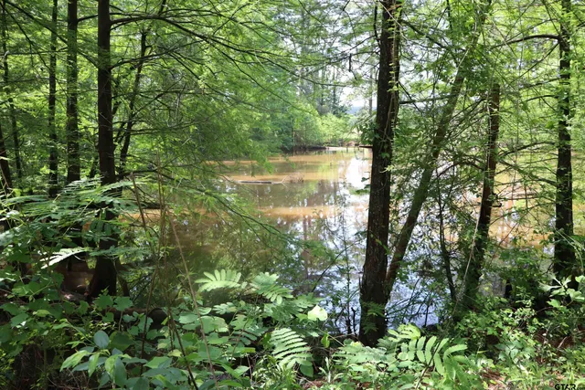a view of lake with green space