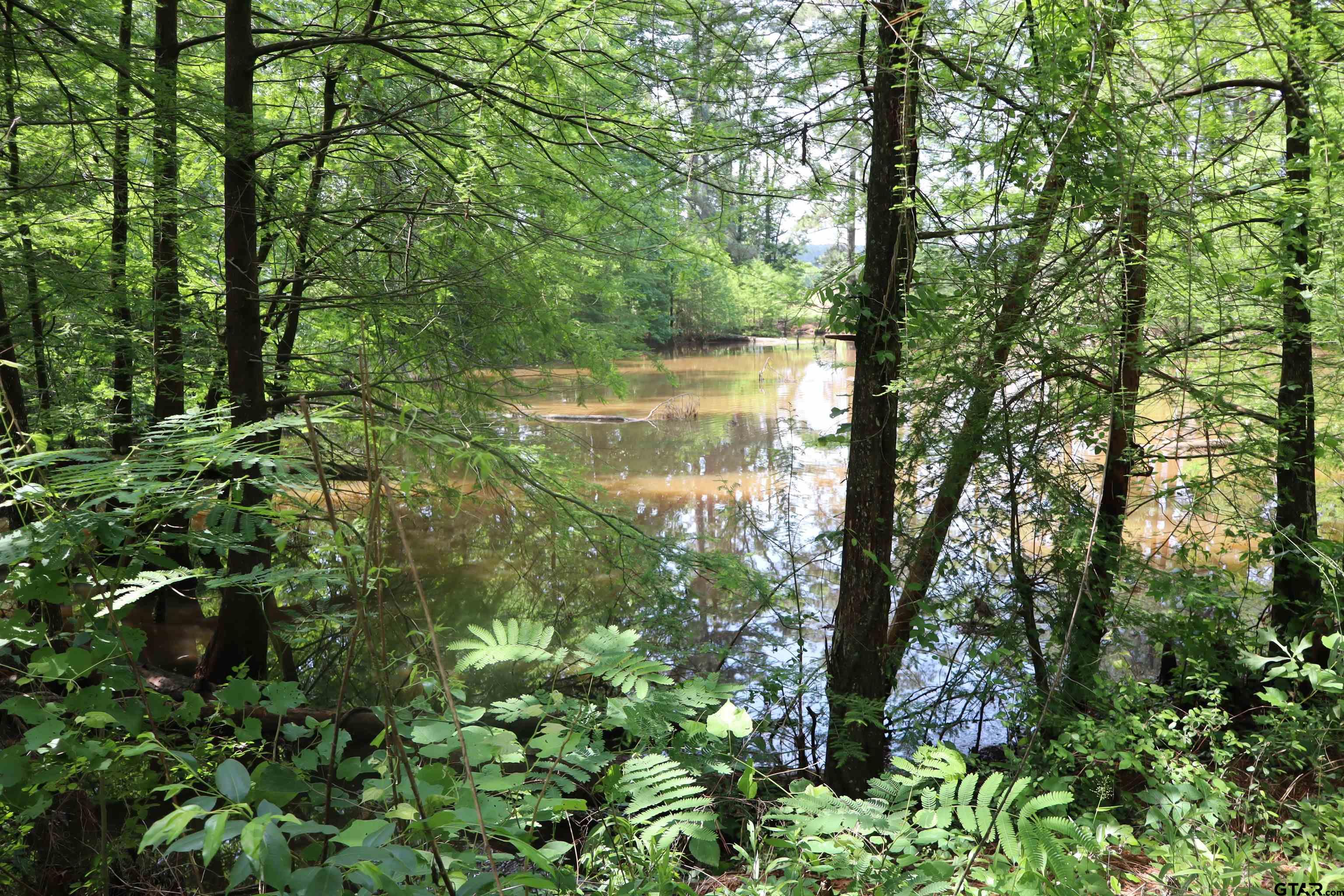 4269 Highway 21 Alto, TX 75925 - Photo 9 of 41 a view of lake with green space
