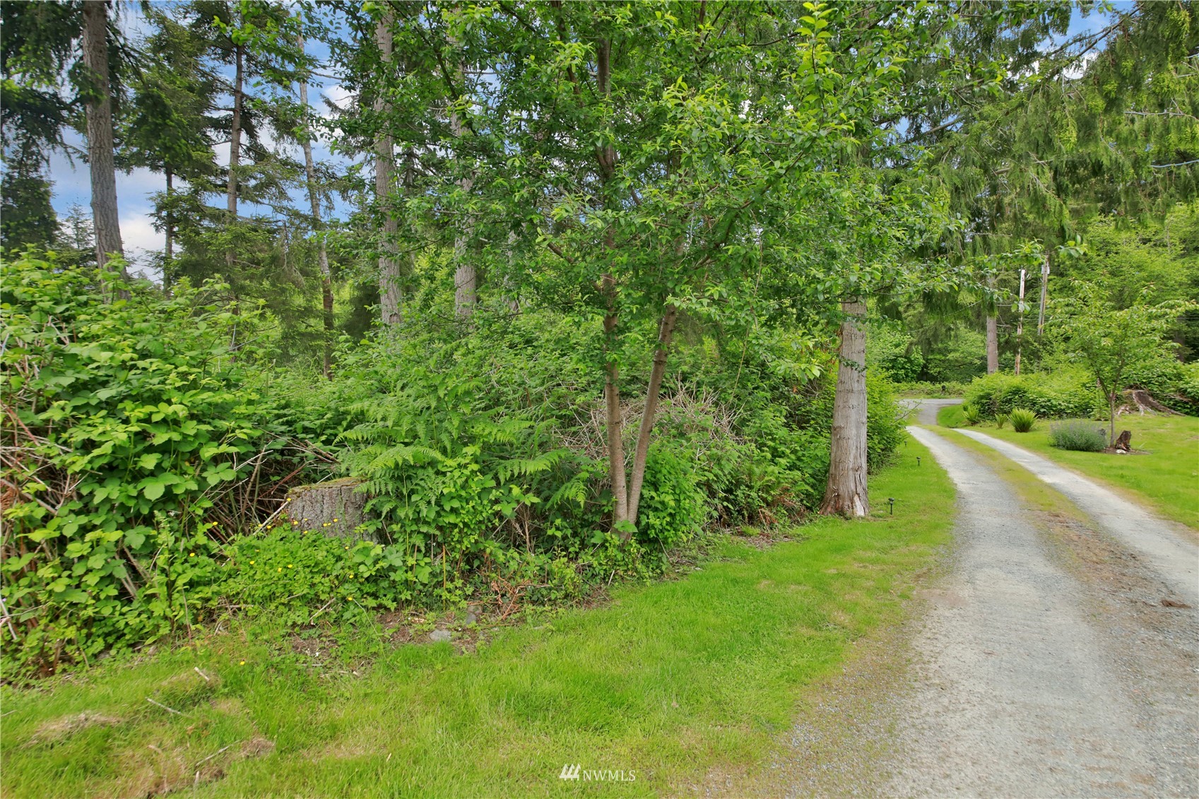 0 Cultus Bay Road Clinton, WA 98236 - Photo 3 of 17 Gallery Image 3