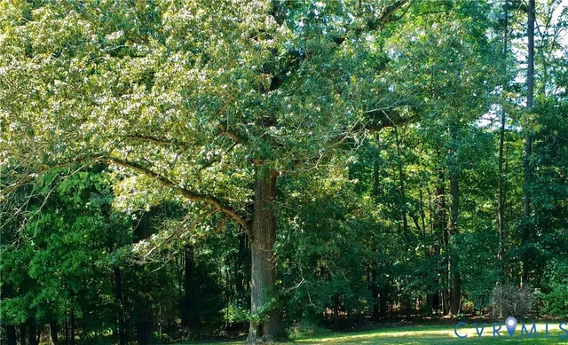 $79,950 | 8.47-acres Patrick Henry Highway, Jetersville, VA 23083