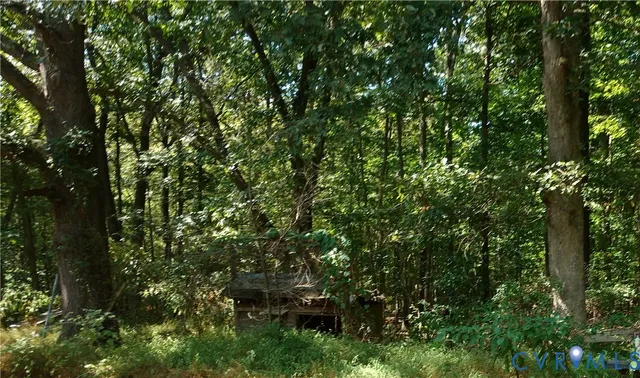 $79,950 | 8.47-acres Patrick Henry Highway, Jetersville, VA 23083