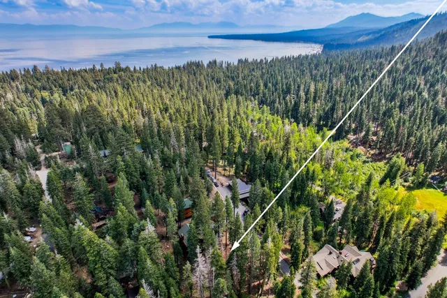a view of a lake with a lush green forest
