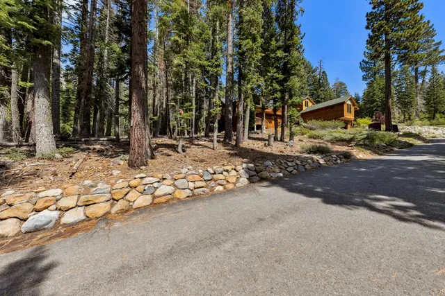 a view of a street with some trees