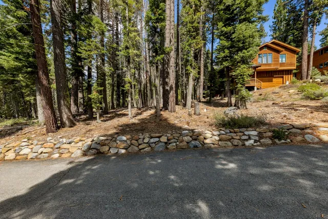 a view of a tree with a yard