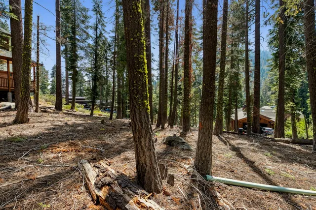 a view of a house with a tree in front