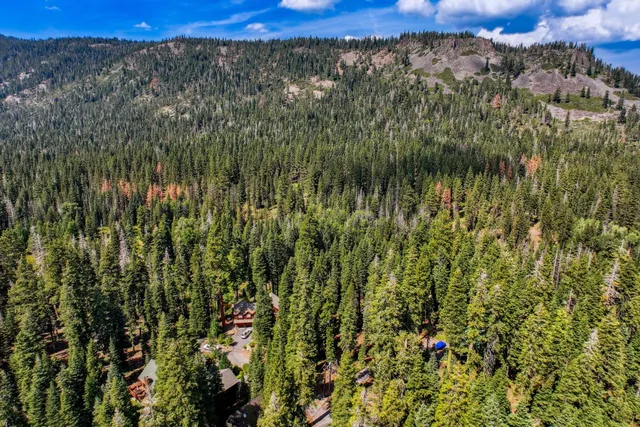 a view of a lots of trees and bushes