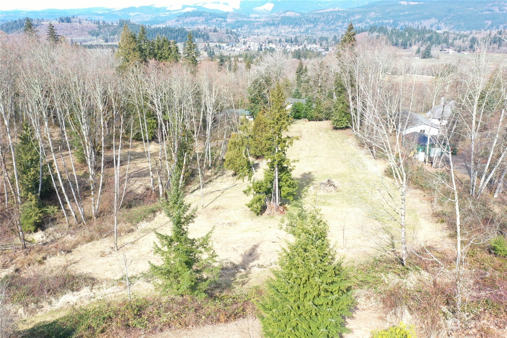 149 Bartlett Road Mossyrock, WA 98564 - Photo 19 of 34 Gallery Image 19