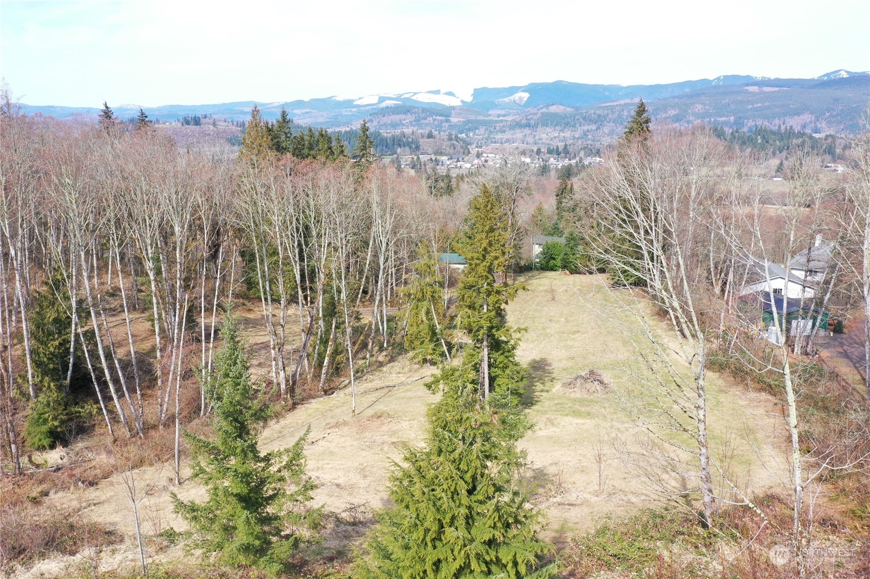 149 Bartlett Road Mossyrock, WA 98564 - Photo 3 of 34 Gallery Image 3