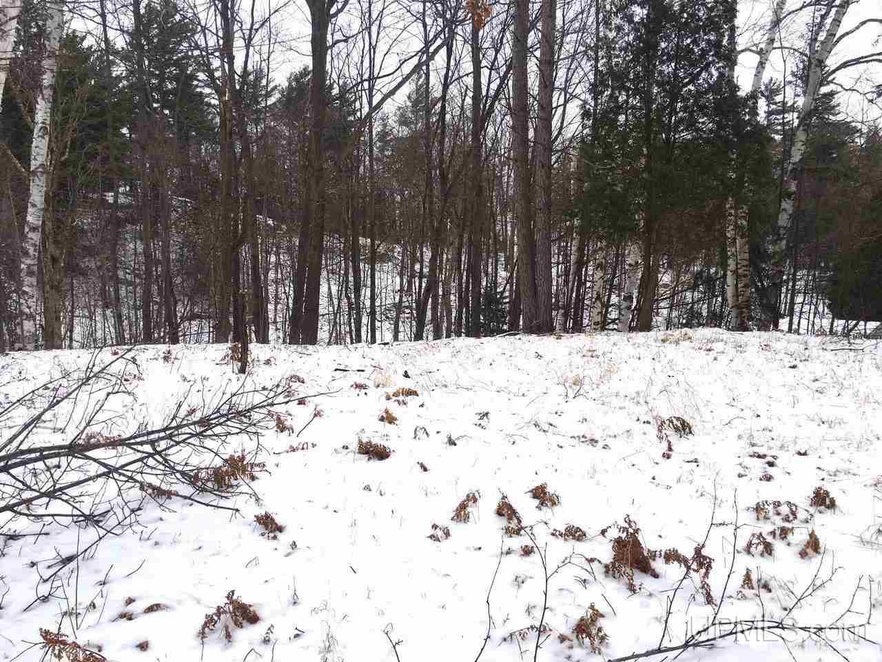 Tbd Tbd Birch Ishpeming, MI 49849 - Photo 6 of 6