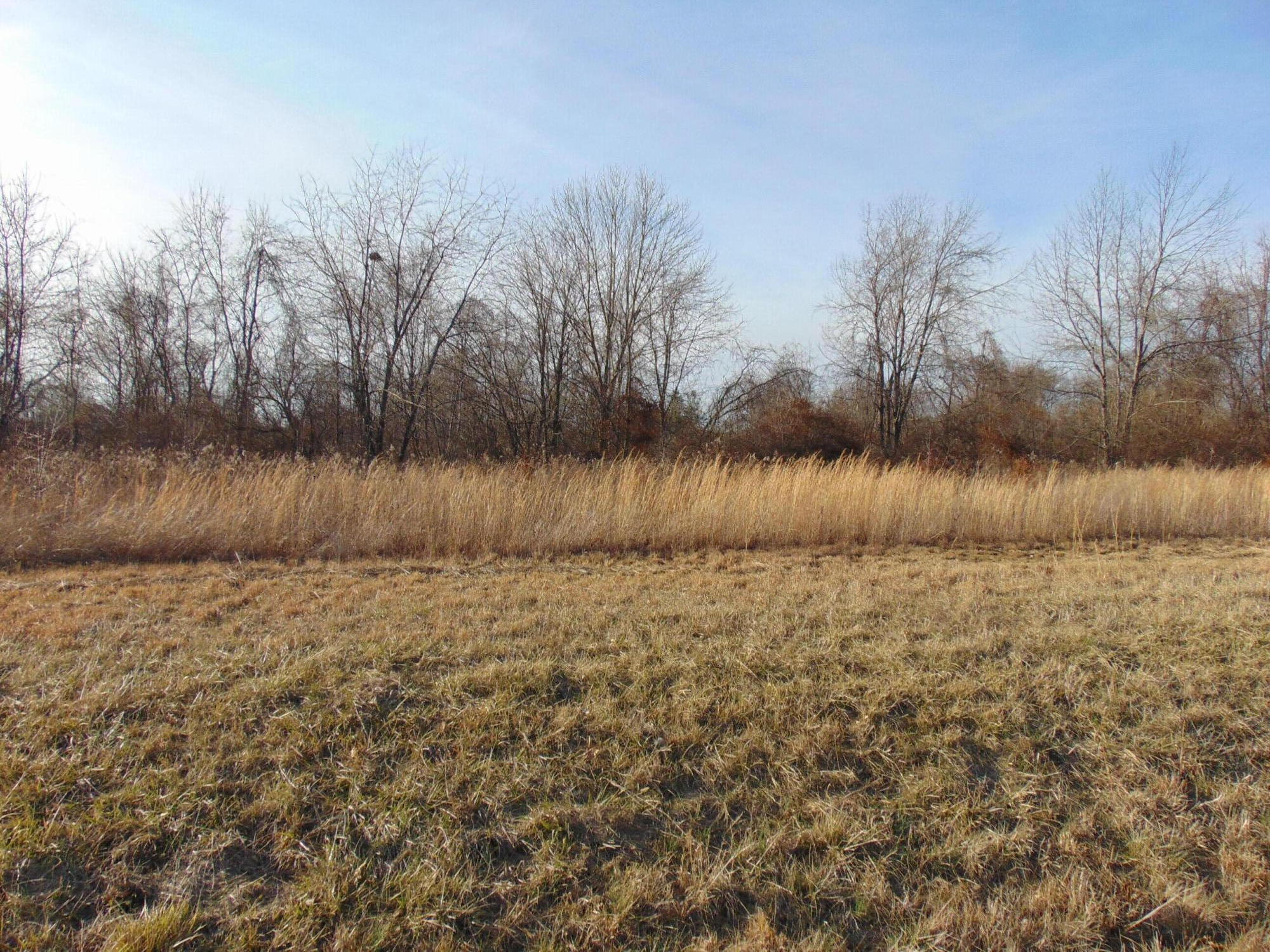 4 Berea Road Richmond, KY 40475 - Photo 2 of 5 DSC01322
