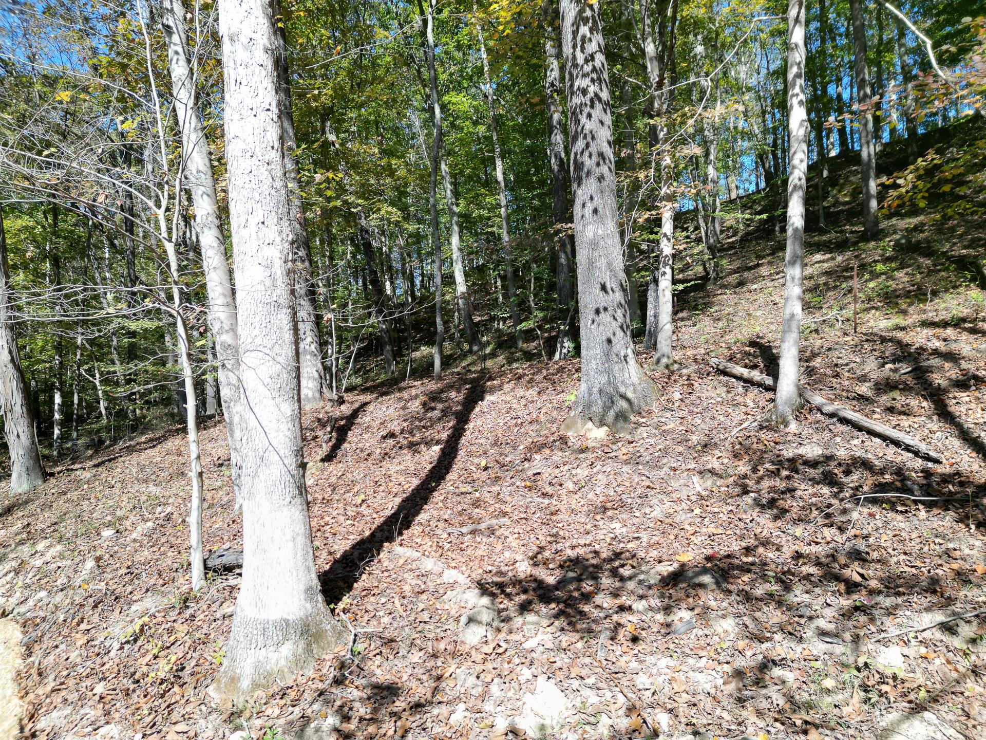 1462 Keystone Road, Unit RACCOON CREEK ADVENTURES) Vinton, OH 45686 - Photo 37 of 69