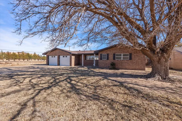a view of house with backyard and tree