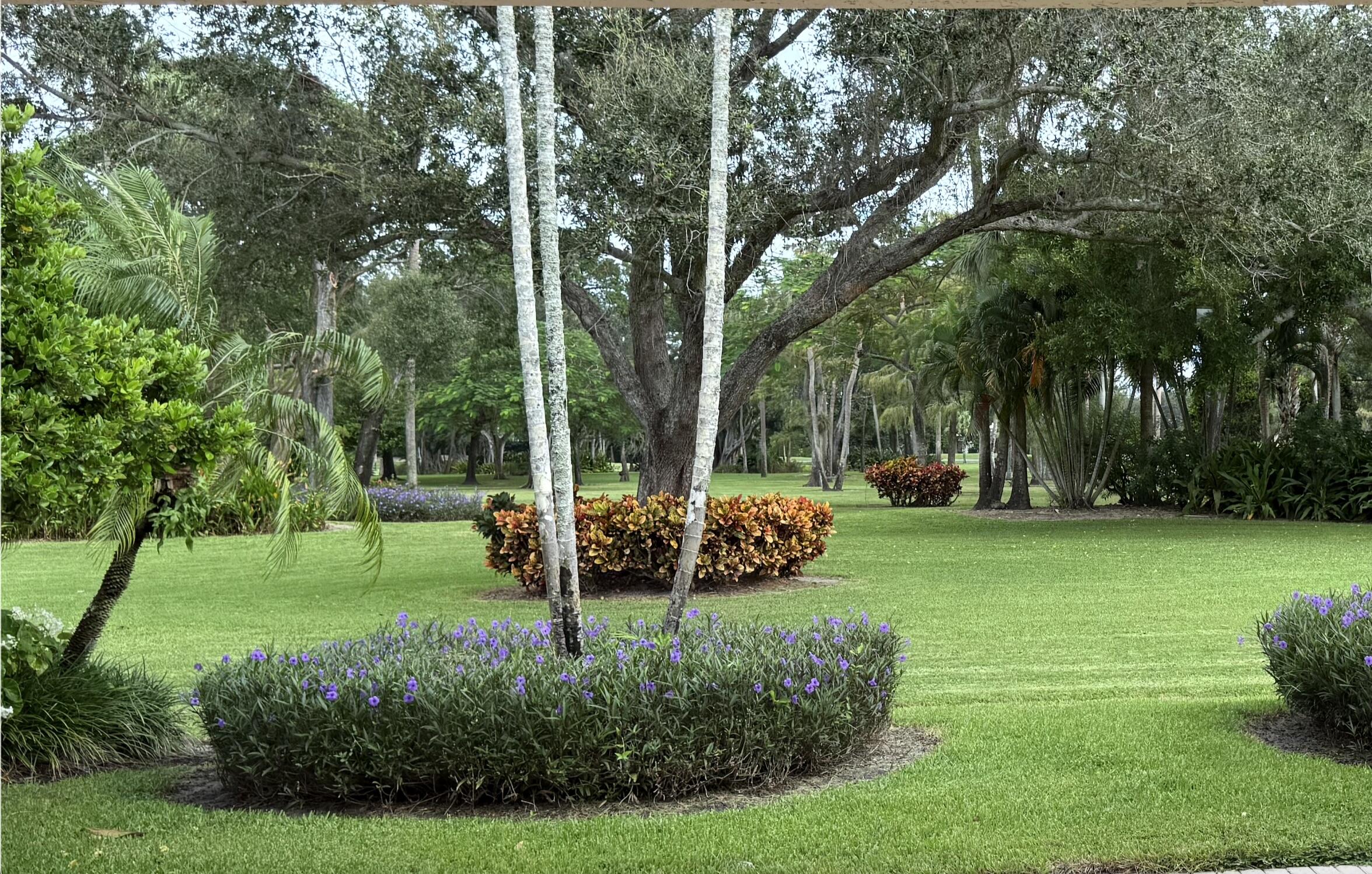 7633 La Corniche Circle Boca Raton, FL 33433 - Photo 41 of 49 a view of a park with large trees