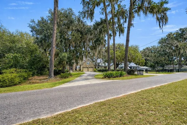 a view of a park with palm trees