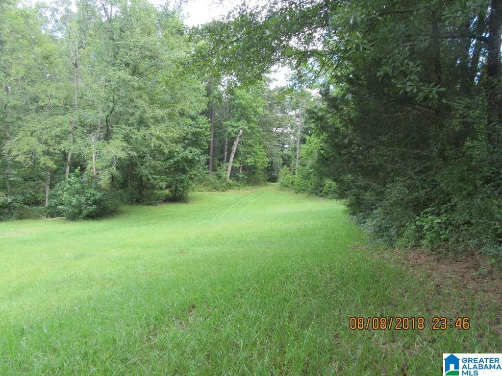 1791 Old Shocco Road Talladega, AL 35160 - Photo 3 of 22