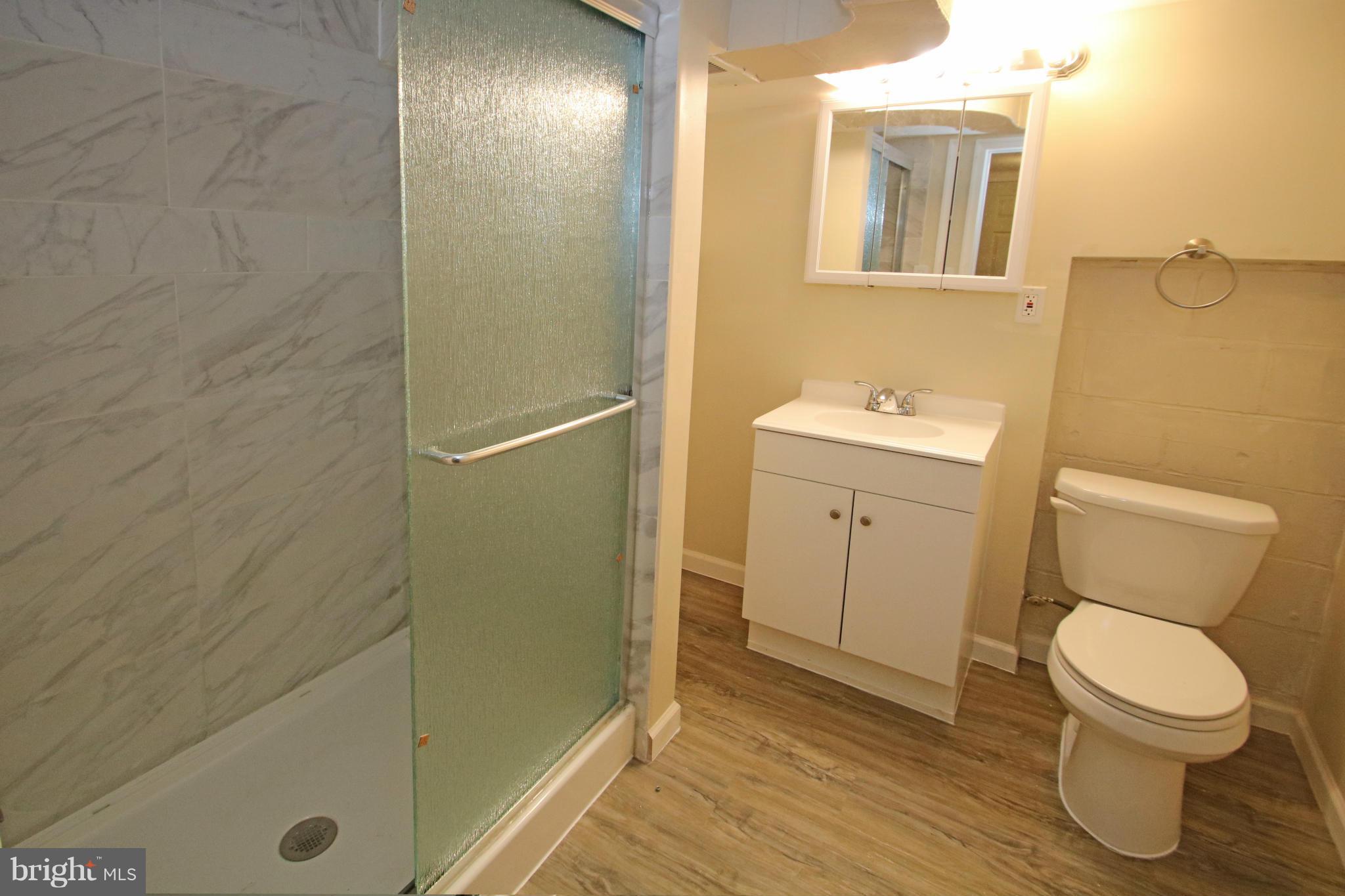 4618 Coleherne Road Baltimore, MD 21229 - Photo 20 of 23 Bath - lower level