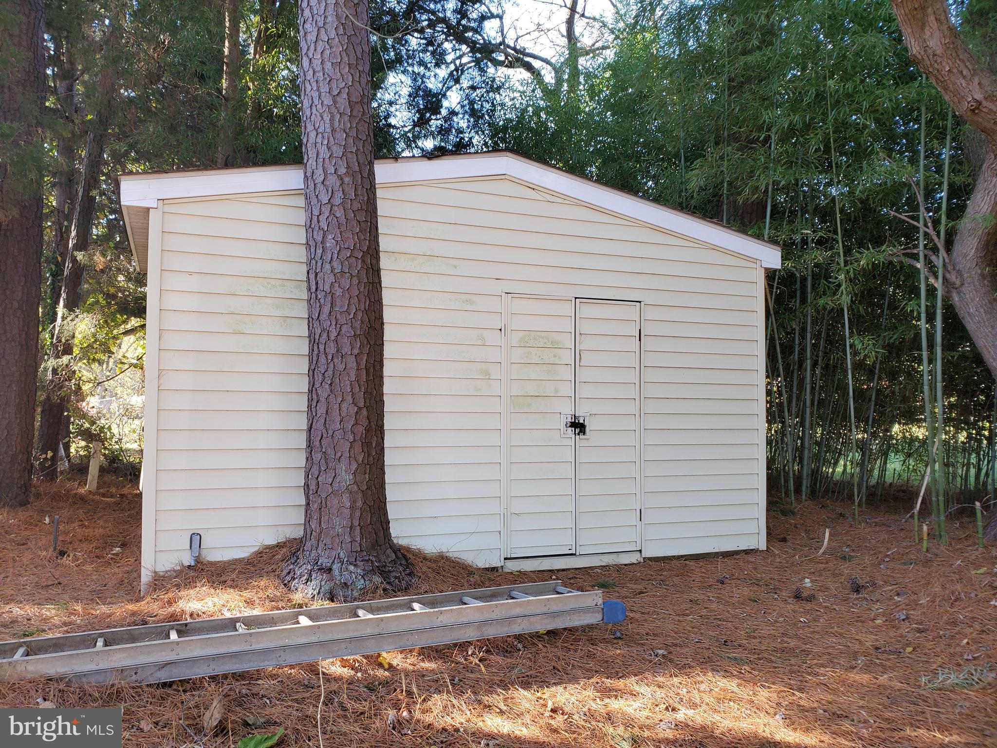 114 Laird Benton Road Stevensville, MD 21666 - Photo 18 of 25 Shed