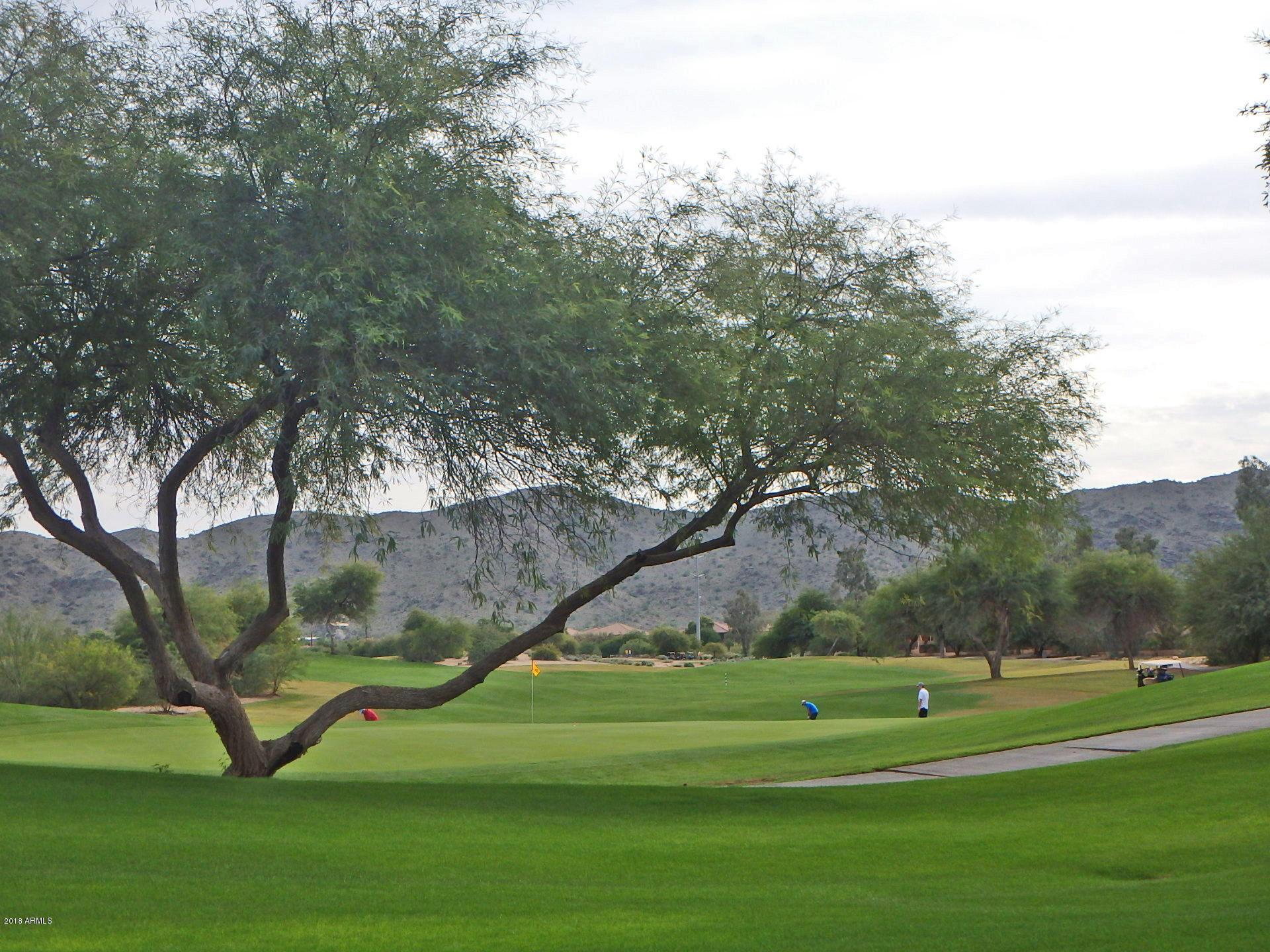 2843 East Fremont Road Phoenix, AZ 85042 - Photo 5 of 27 Course View