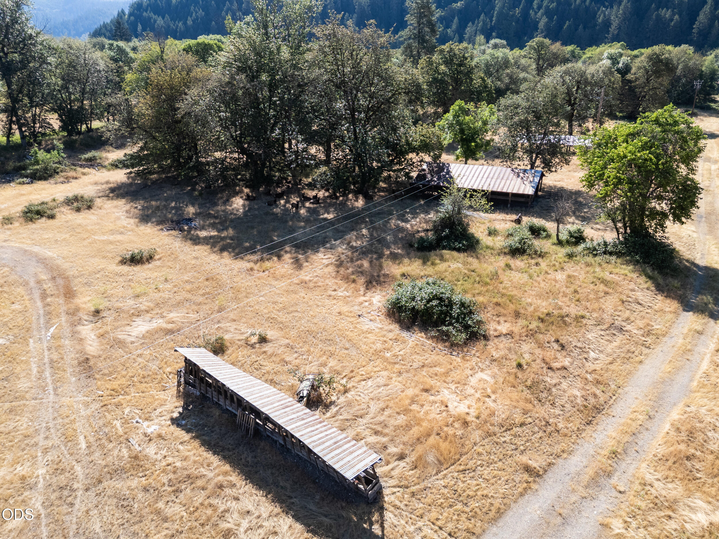 706 Creek Road Azalea, OR 97410 - Photo 9 of 23