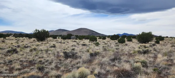 $69,900 | 30342036 C Alpine Ranch, Flagstaff, AZ 86004