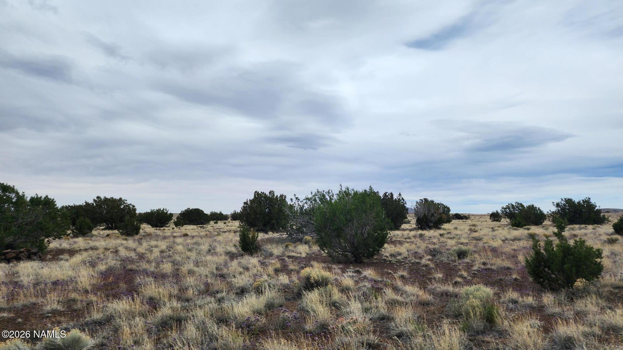 30342036 C Alpine Ranch Flagstaff, AZ 86004 - Photo 2 of 9 30342036-C photo 2