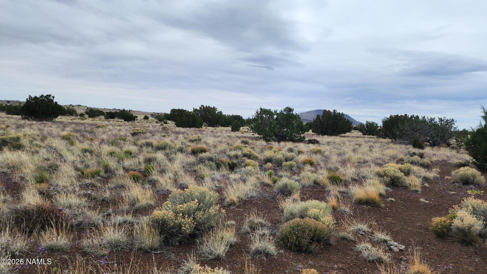 30342036 C Alpine Ranch Flagstaff, AZ 86004 - Photo 3 of 9 30342036-C photo 3