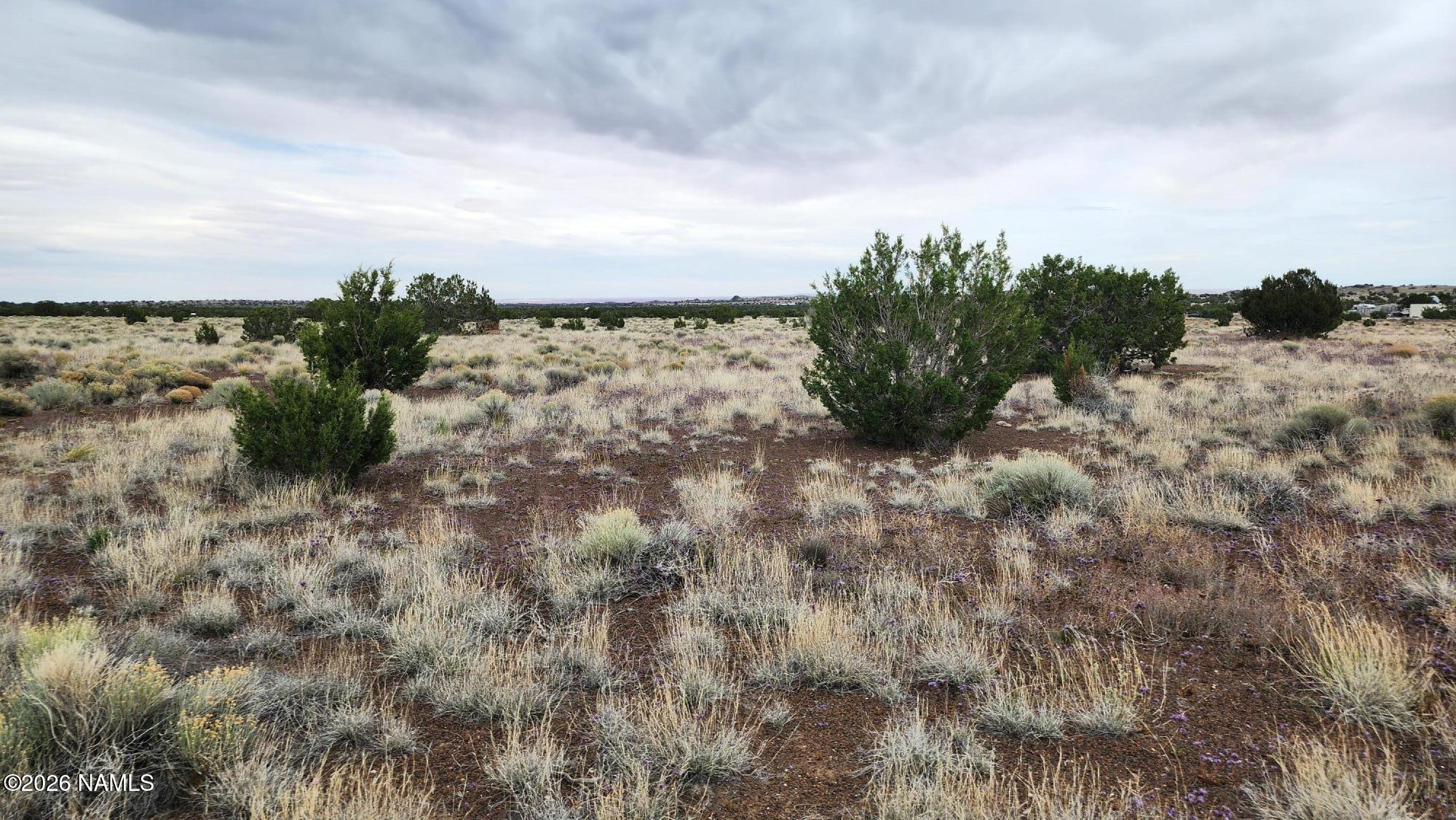 30342036 C Alpine Ranch Flagstaff, AZ 86004 - Photo 6 of 9 30342036-C photo 6