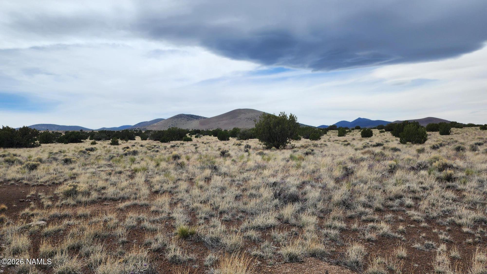 30342036 C Alpine Ranch Flagstaff, AZ 86004 - Photo 7 of 9 30342036-C photo 7