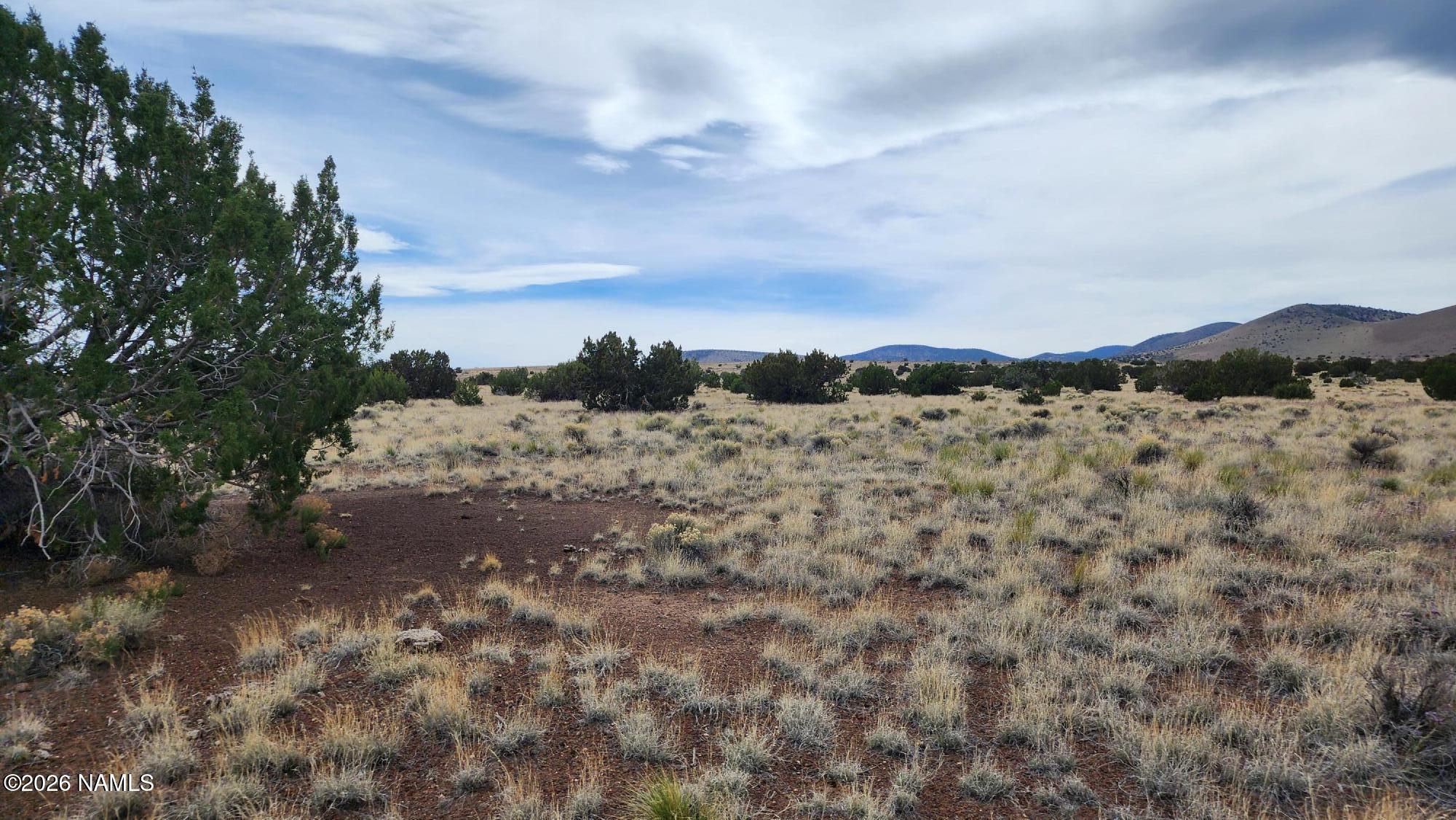 30342036 C Alpine Ranch Flagstaff, AZ 86004 - Photo 8 of 9 30342036-C photo 8