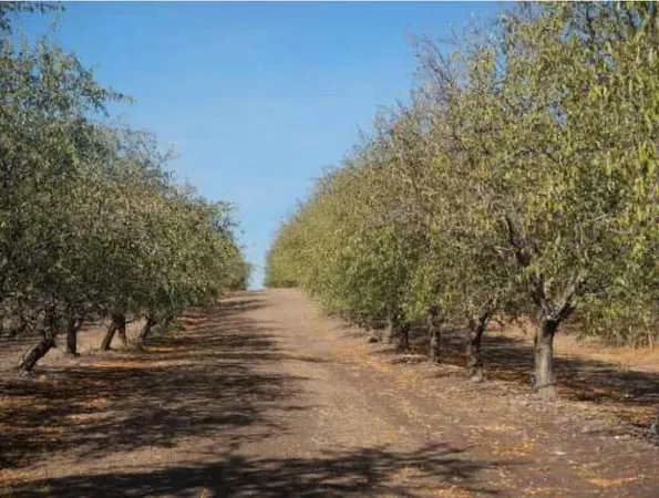 $1,795,000 | 1 South Fogarty Road, Oakdale, CA 95361