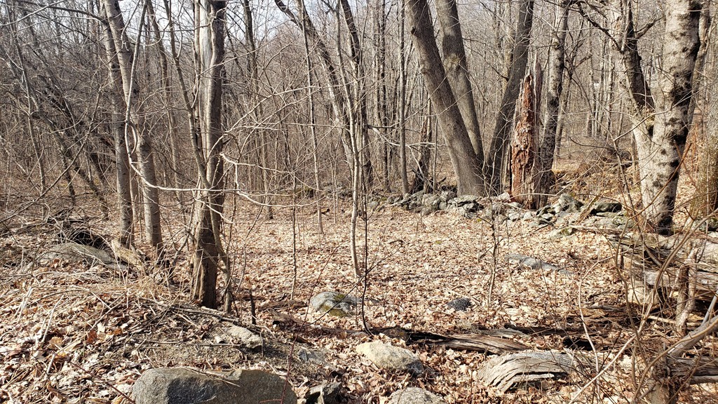 3 Taylor Hill Road Hardwick, MA 01037 - Photo 13 of 15 view of a yard with wooden fence