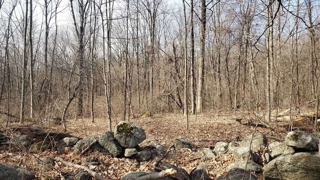 3 Taylor Hill Road Hardwick, MA 01037 - Photo 14 of 15