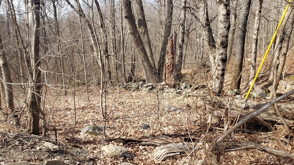 3 Taylor Hill Road Hardwick, MA 01037 - Photo 4 of 15 a view of a yard with plants and wooden fence