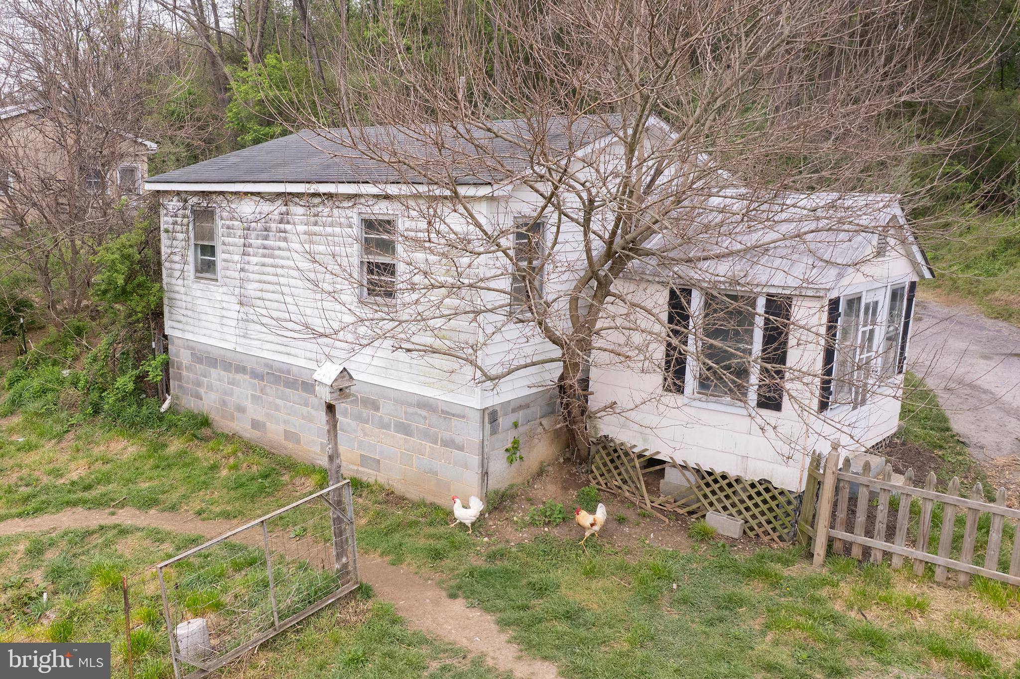 397 Country Brook Road Toms Brook, VA 22660 - Photo 39 of 57