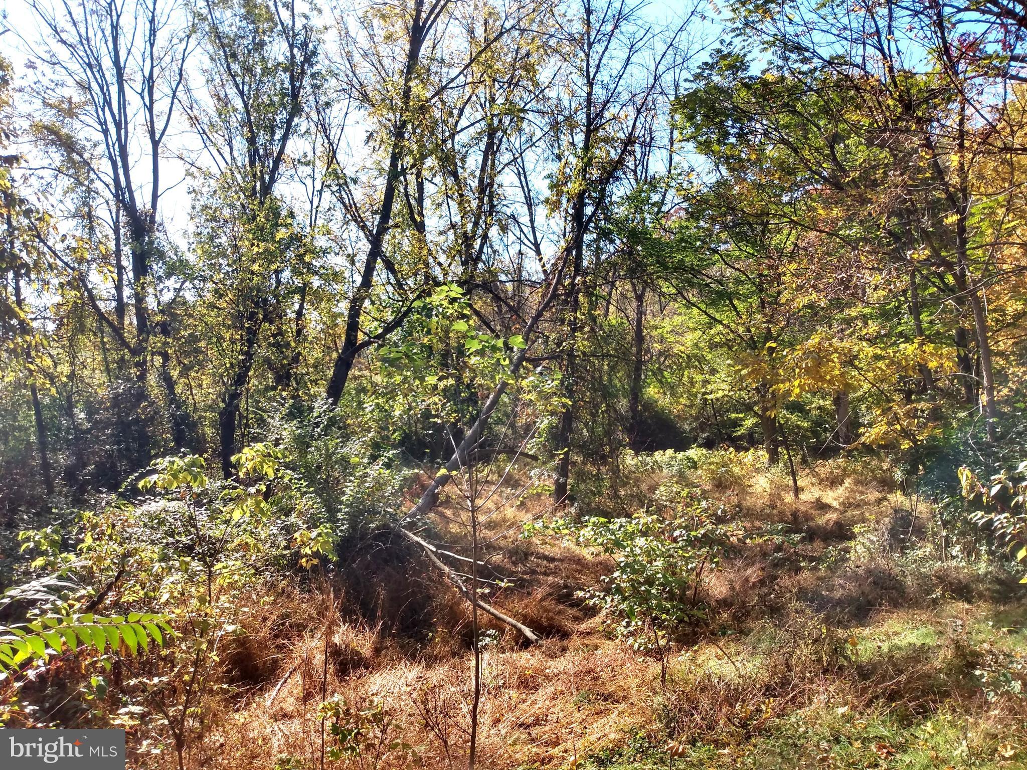 676 Siloam Road Chambersburg, PA 17201 - Photo 38 of 41 Wooded Area